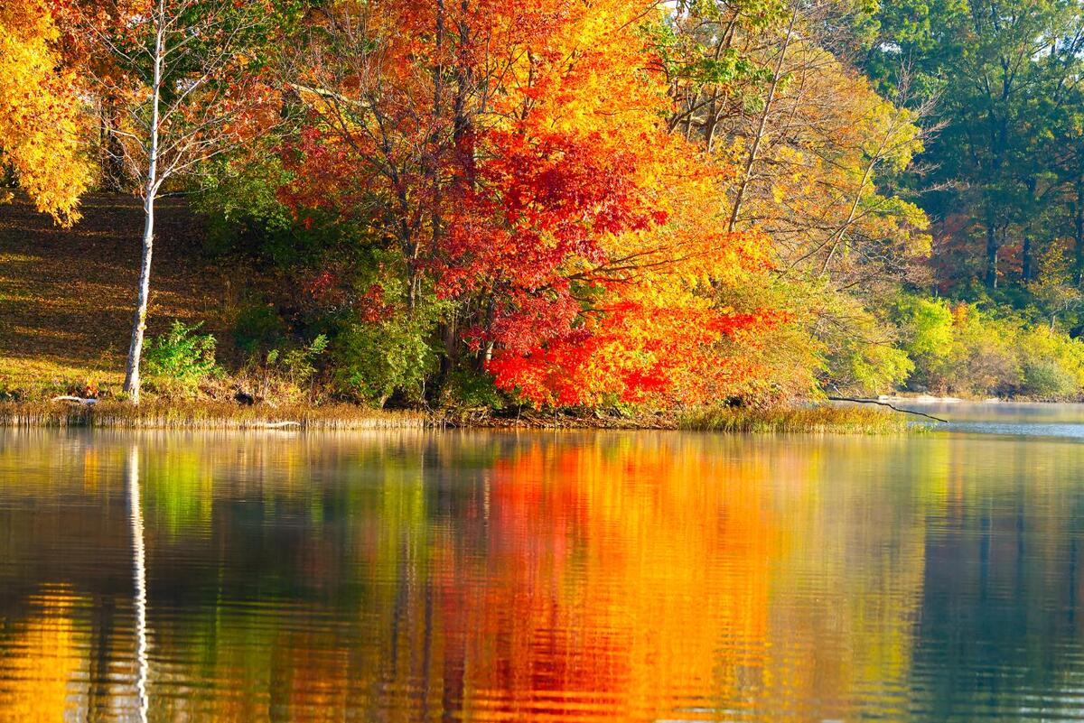 Fall colors on Armco Lake